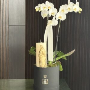 Orquídea doble con cirio de Virgen