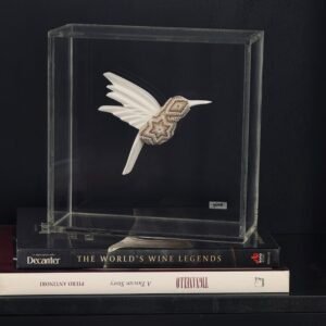 Cuadro de Colibri