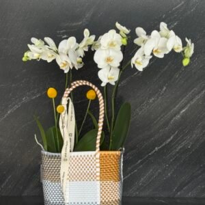 2 orquídeas en bolsa tejida