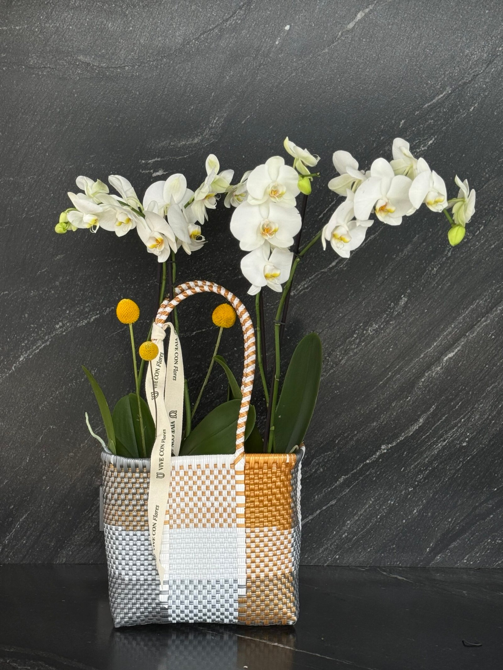 2 orquídeas en bolsa tejida